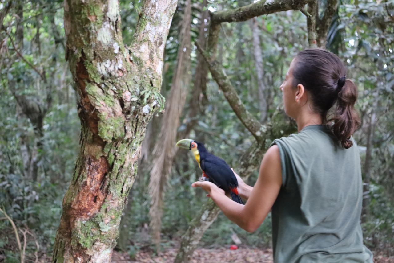 Animais Silvestres Resgatados E Recuperados S O Soltos No Parque